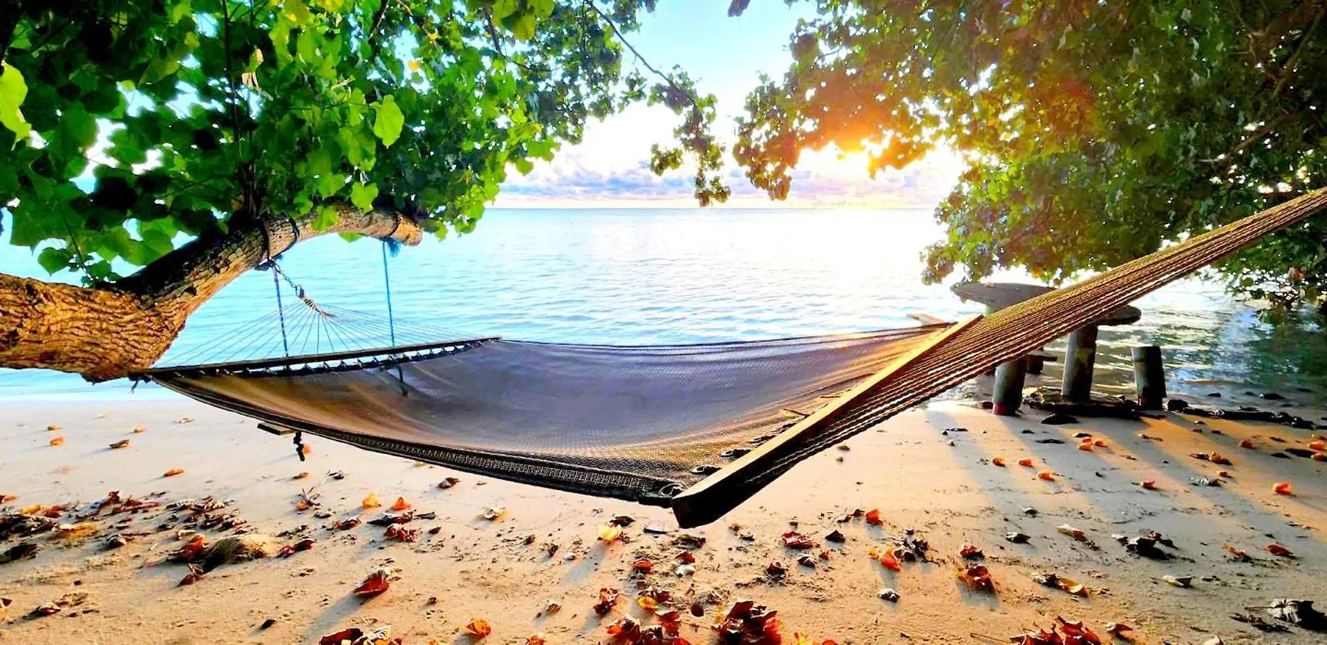 Pater Teura Homestay Moorea