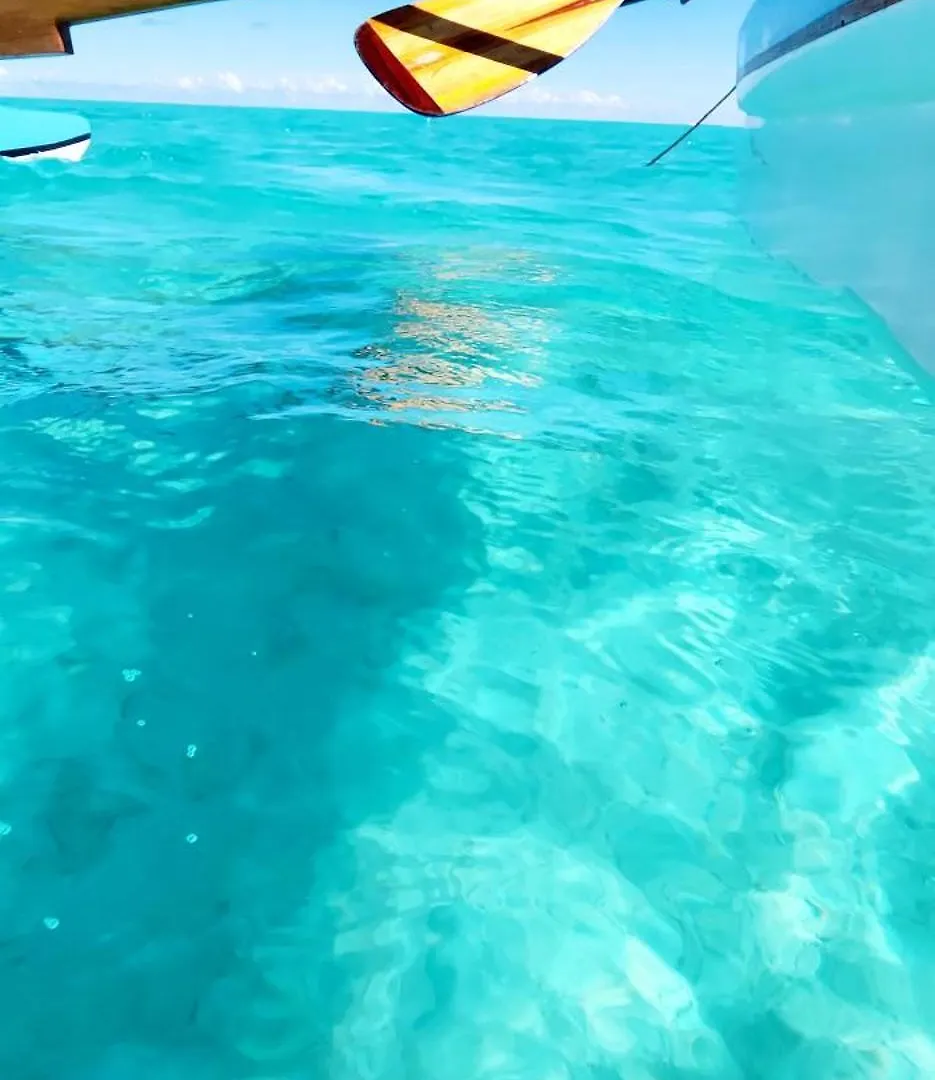 Dom wakacyjny Pater Teura Homestay Moorea Polinezja Francuska
