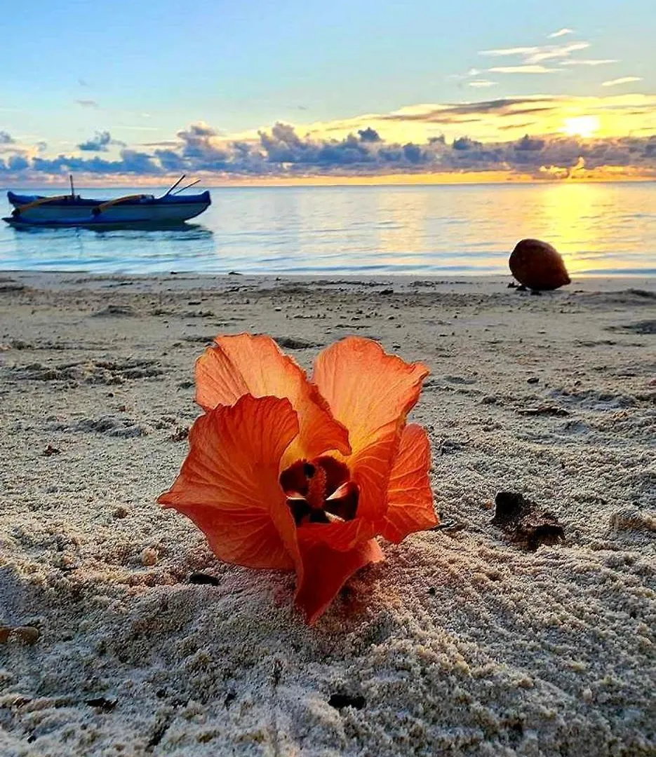 Pater Teura Homestay Moorea Dom wakacyjny